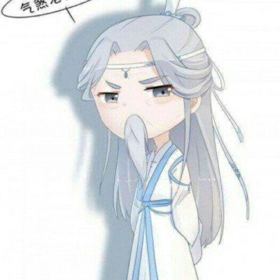 访华团高管名单
